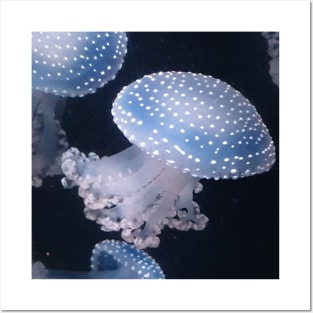 Jellyfish Posters and Art